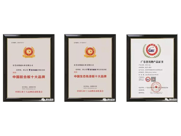 11月，骏丰板材迎来多位尊贵嘉宾到访