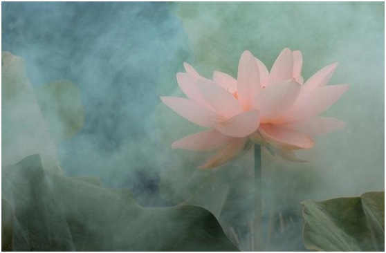 0ad0f5cb0f428bc86a52f31e4371c399.png 0ad0f5cb0f428bc86a52f31e4371c399.png