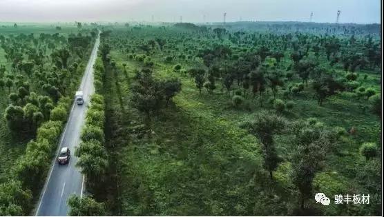 25ae42737aff35320ee3cba3e677703f.jpg 25ae42737aff35320ee3cba3e677703f.jpg