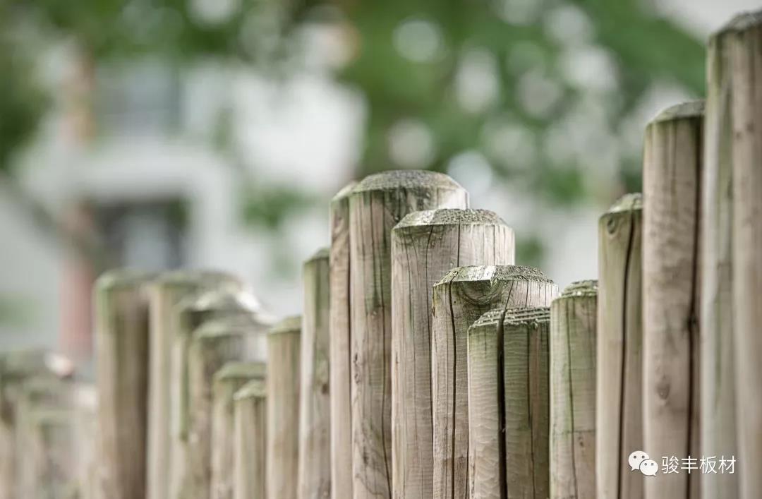 371800be3bc67ac54a0c8d94d0db5aad.jpg 371800be3bc67ac54a0c8d94d0db5aad.jpg