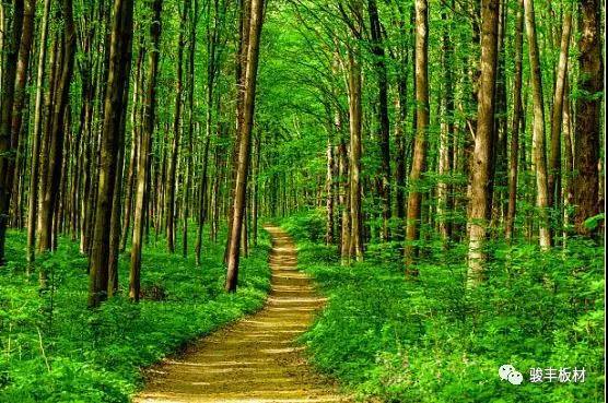 4c189b2daa67f2099692d636703f9bf2.jpg 4c189b2daa67f2099692d636703f9bf2.jpg