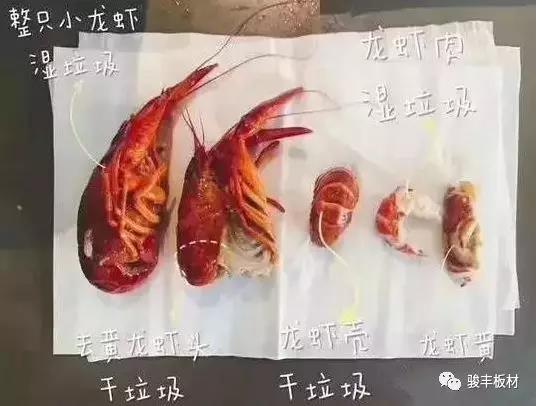 89083857883169304860b470e653b94a.jpg 89083857883169304860b470e653b94a.jpg