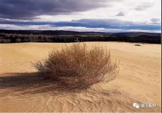 8979827fa8d525a57fa0a75d5e248fa0.jpg 8979827fa8d525a57fa0a75d5e248fa0.jpg