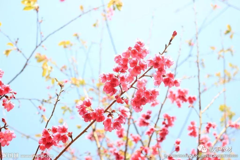 d0e14fd7315ba57c4538b8220040f99b.jpg d0e14fd7315ba57c4538b8220040f99b.jpg