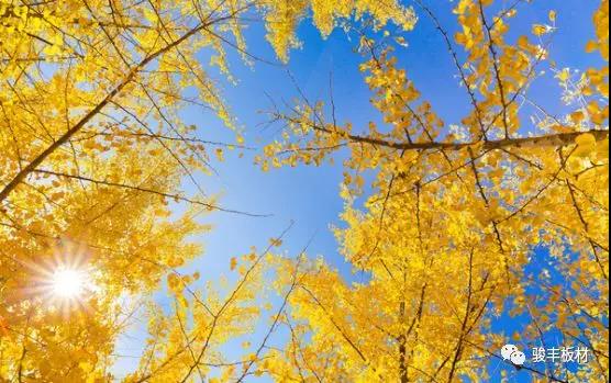 d37b90b09d4ec1f8f1143aefa7a46a3d.jpg d37b90b09d4ec1f8f1143aefa7a46a3d.jpg