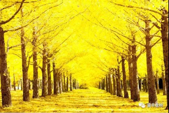 d592856a5f8891f230de64da6cfe7290.jpg d592856a5f8891f230de64da6cfe7290.jpg